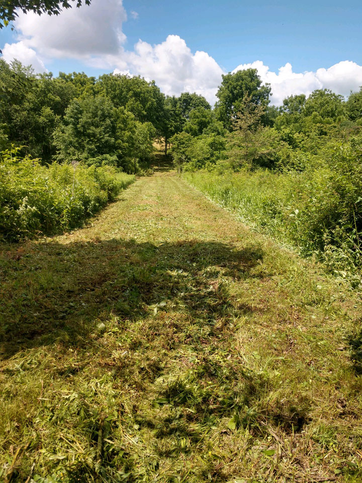 We specialize in mowing for pipelines, stations, plants, utility lines and manned facilities. For years, we have been a leader in maintaining and mowing rights-of-way safely and effectively.
